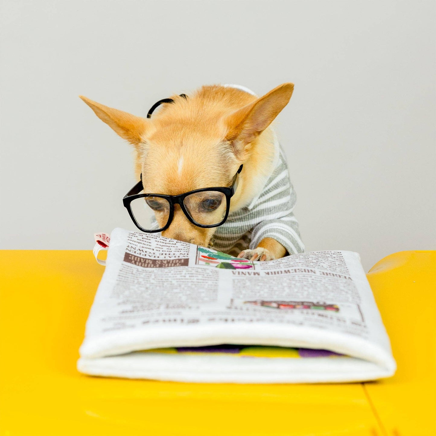 The Furryfolks Avis Nosework Legetøj – Sjov og Mental Stimulering til Din Hund!