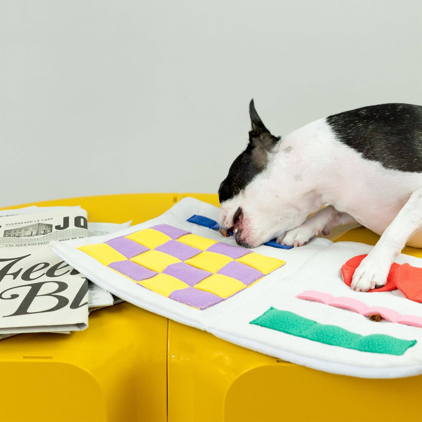The Furryfolks Avis Nosework Legetøj – Sjov og Mental Stimulering til Din Hund!