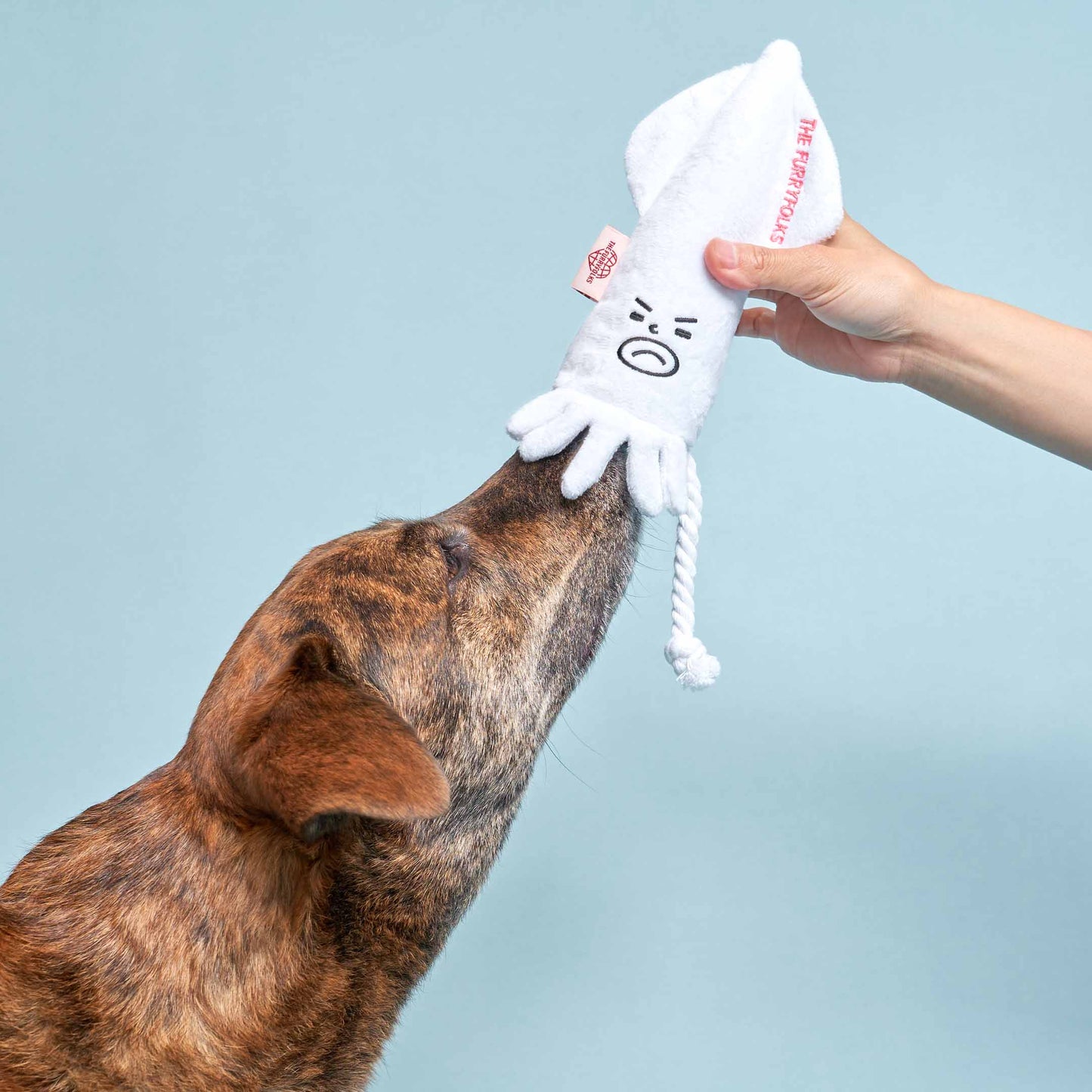 Calamari Nosework Legetøj – Sjov og Stimulering for Din Hund