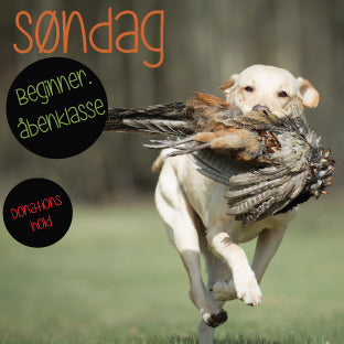 🐕 Åbenklasse / Beginner test træning (kun for retrievere)