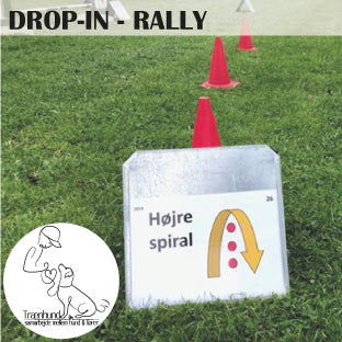 Rally - Drop-in