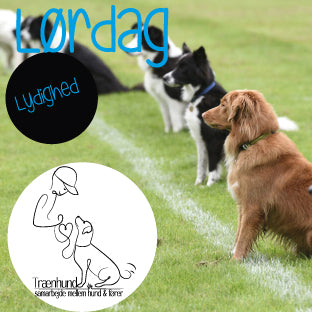 Lørdags kl. 8.45 Øvet + / Lydighed 16 Jan. - 20 Marts
