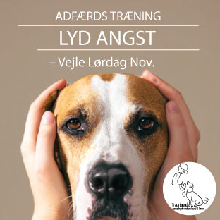 Vente Liste Minikursus - Håndtering af Lydangst hos Hund