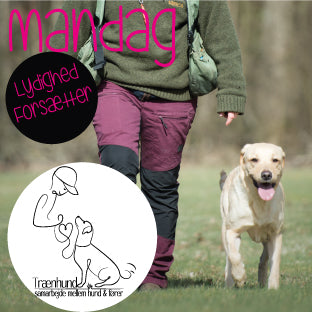 Mandag kl. 16.45 Lydighed og Sjov Marts 26