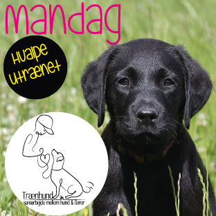 Mandag Kl.18.00 Hvalpe/Unghunde Utrænet Okt-Feb.
