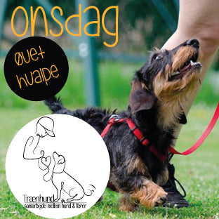 Onsdag Kl. 16.45 Unghund Øvet Okt.-Feb.
