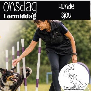 Onsdag kl. 10.45 Hunde Sjov Aug.-Okt.
