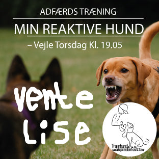 Vente Liste Min Reaktive Hund – Vejle Venteliste