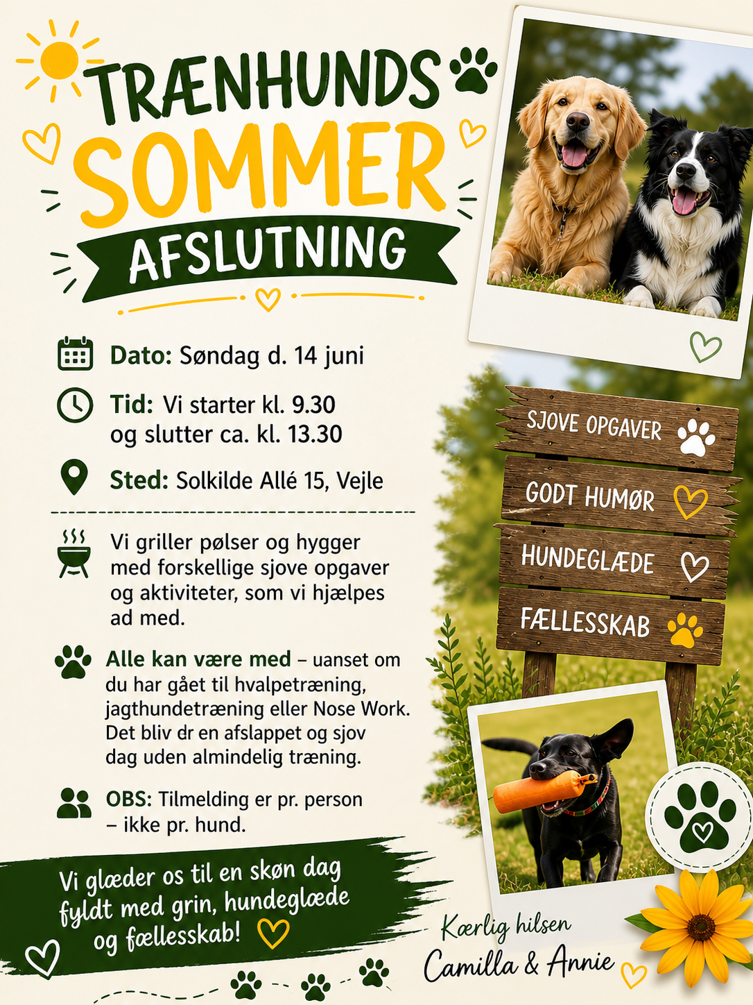 🌞 Sommerafslutning hos Trænhund – for alle vores kursister! 14 Juni