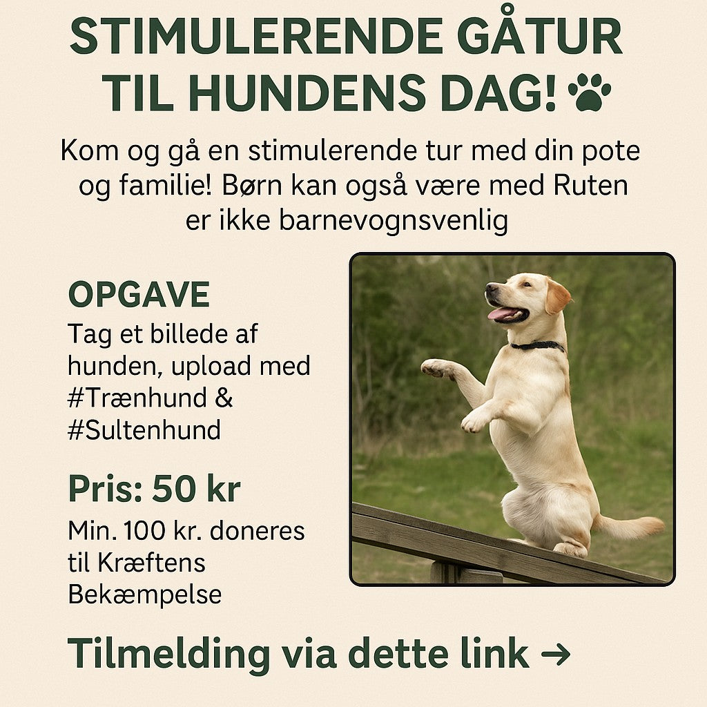 Stimulerende Gå tur