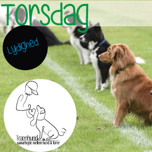 Torsdag Lydighed Aug-Okt