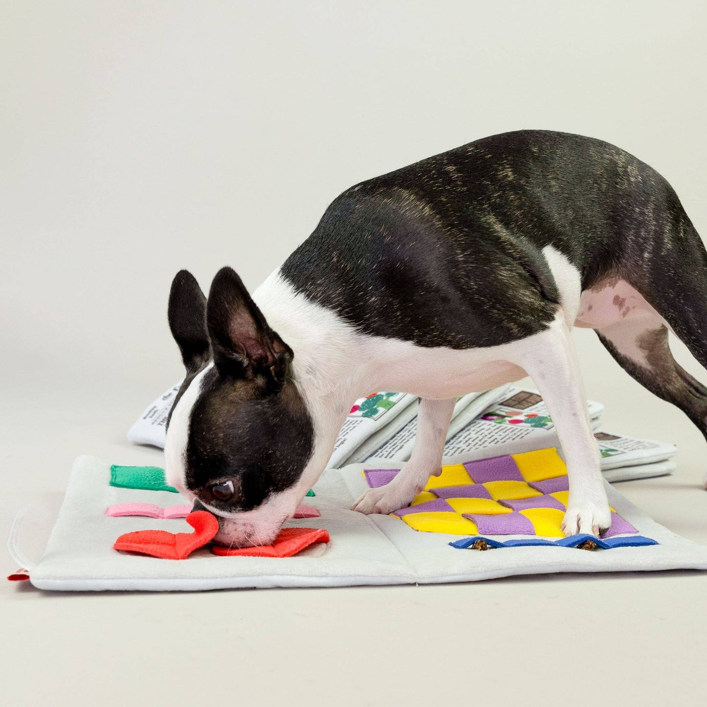 The Furryfolks Avis Nosework Legetøj – Sjov og Mental Stimulering til Din Hund!
