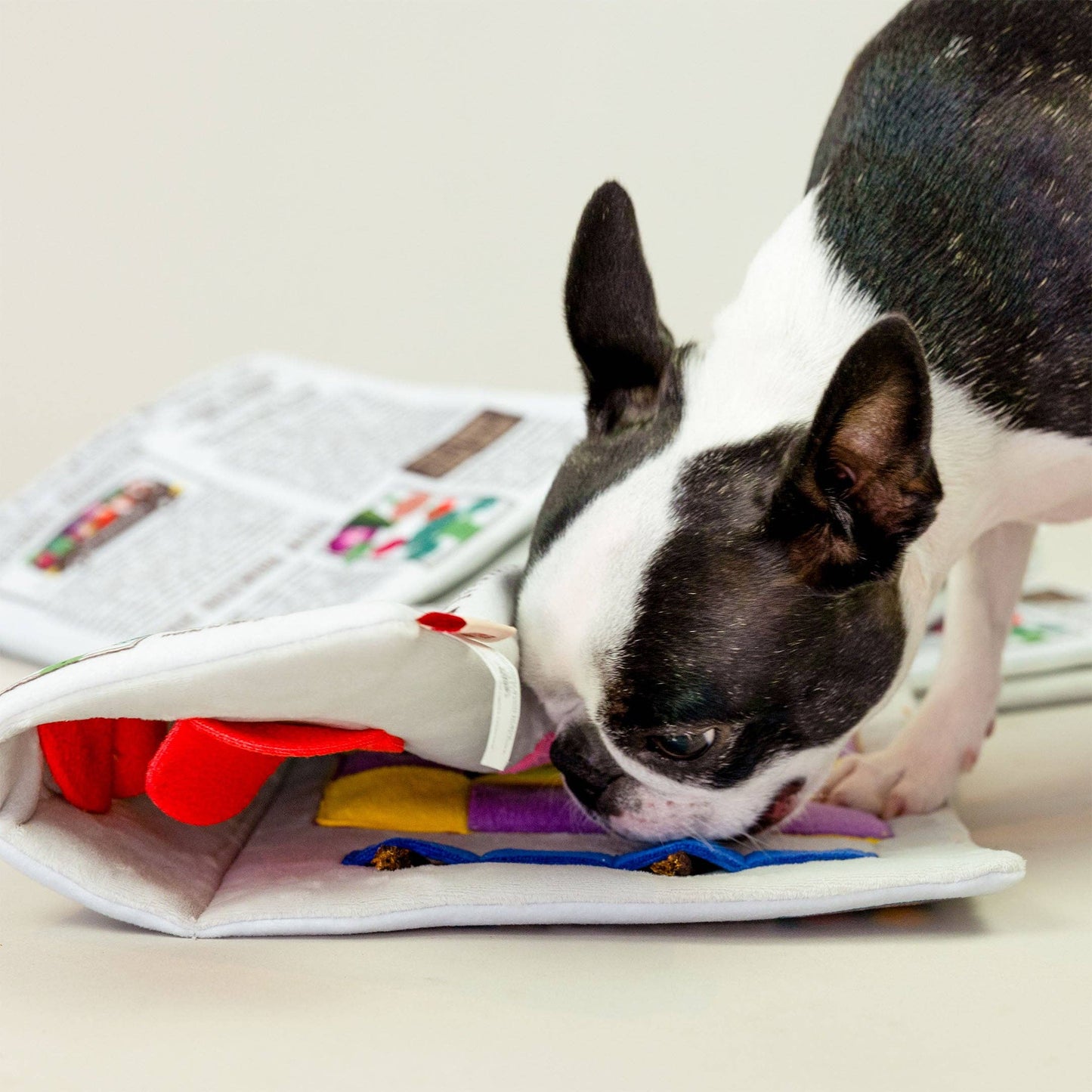 The Furryfolks Avis Nosework Legetøj – Sjov og Mental Stimulering til Din Hund!