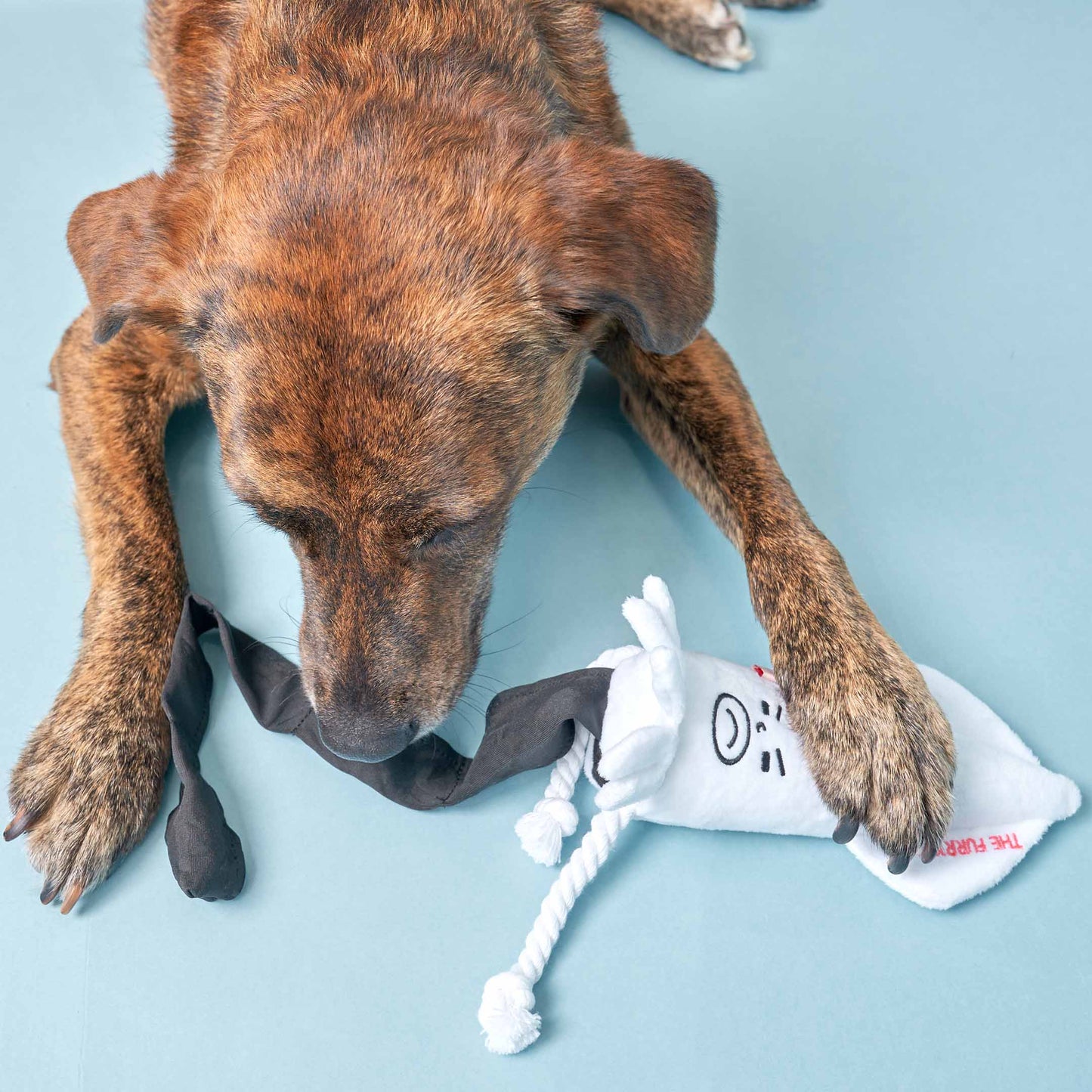 Calamari Nosework Legetøj – Sjov og Stimulering for Din Hund