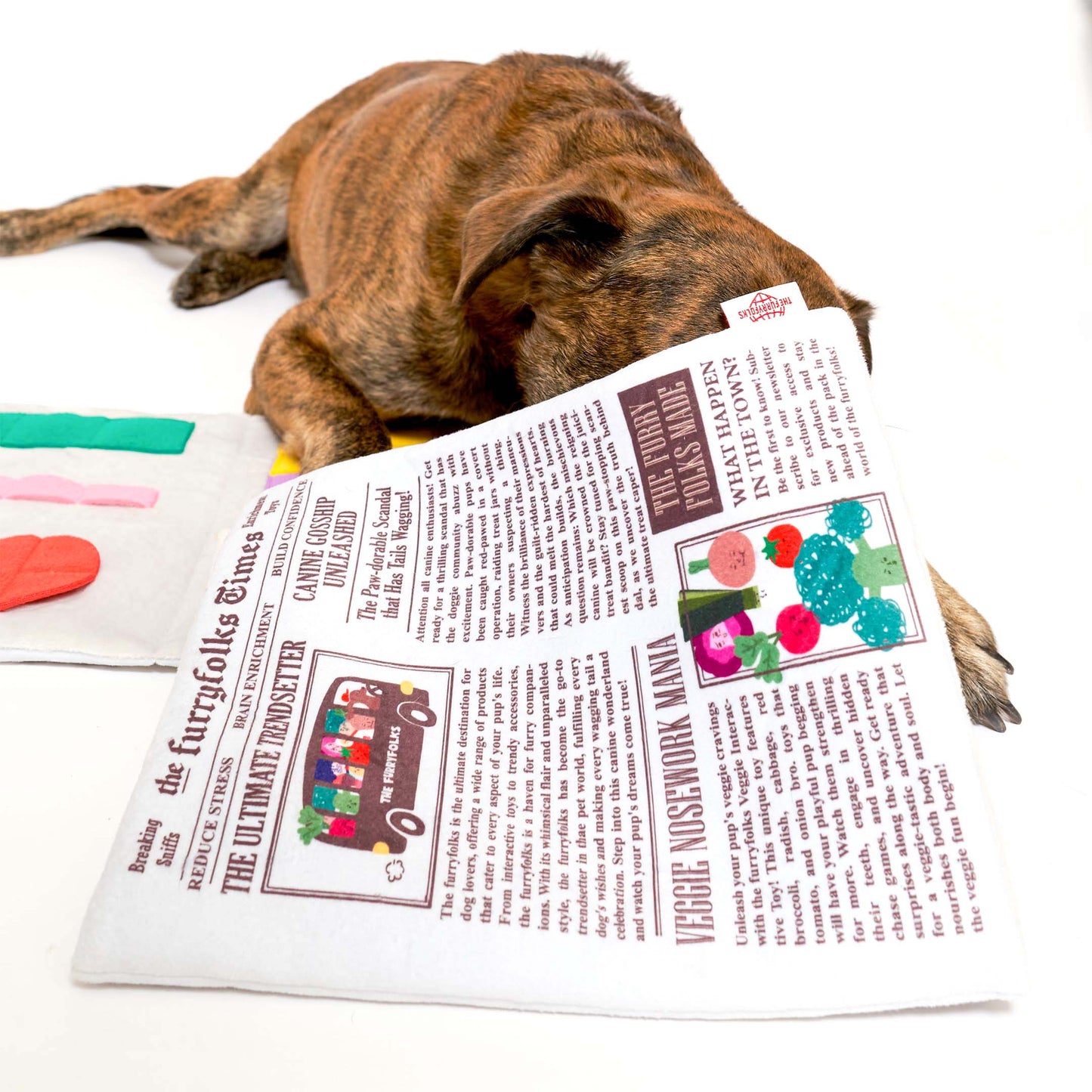 The Furryfolks Avis Nosework Legetøj – Sjov og Mental Stimulering til Din Hund!