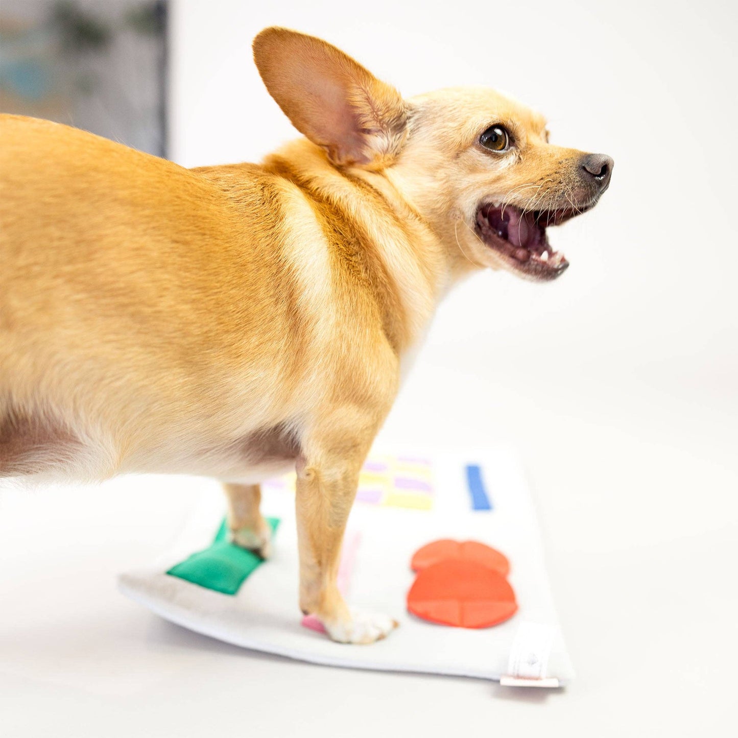 The Furryfolks Avis Nosework Legetøj – Sjov og Mental Stimulering til Din Hund!