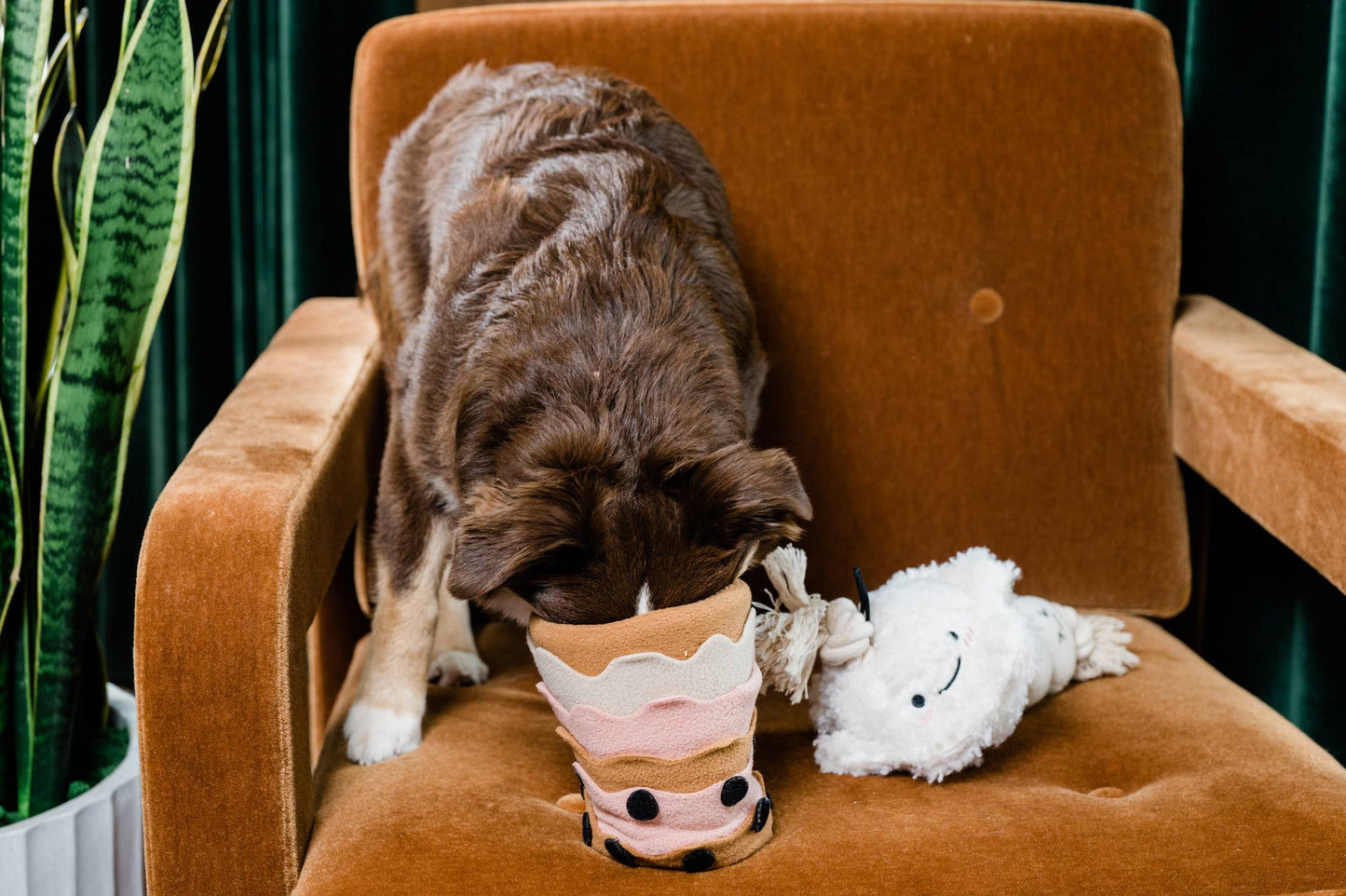 Boba Time Snuffle Legetøj – Mental Stimulering