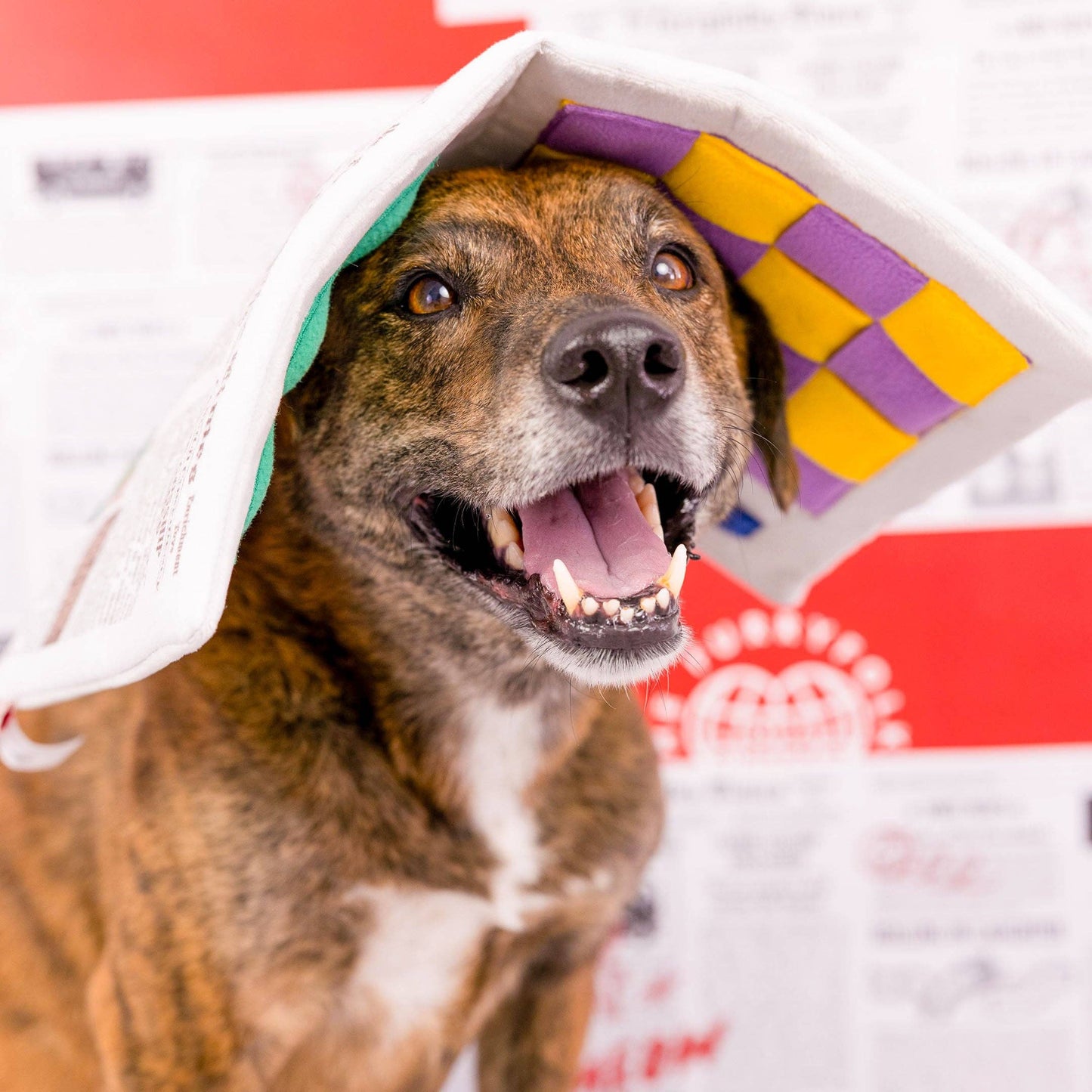 The Furryfolks Avis Nosework Legetøj – Sjov og Mental Stimulering til Din Hund!