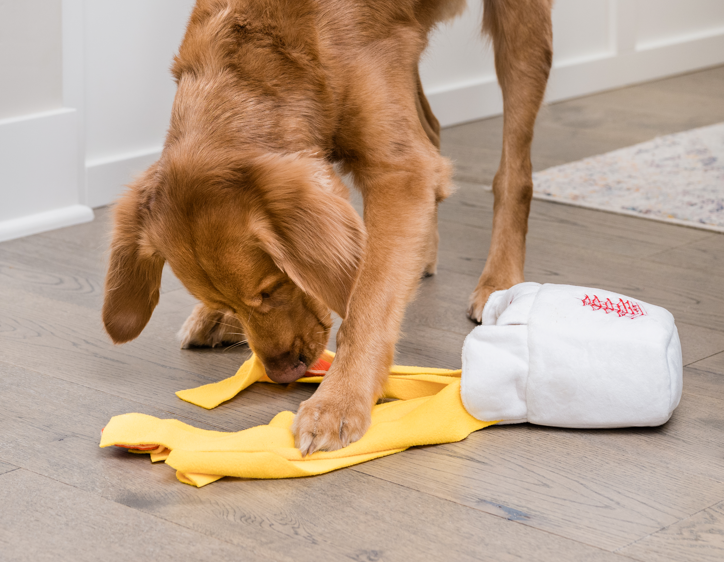 Take Out Snuffle Legetøj – Sjov, Stimulering .