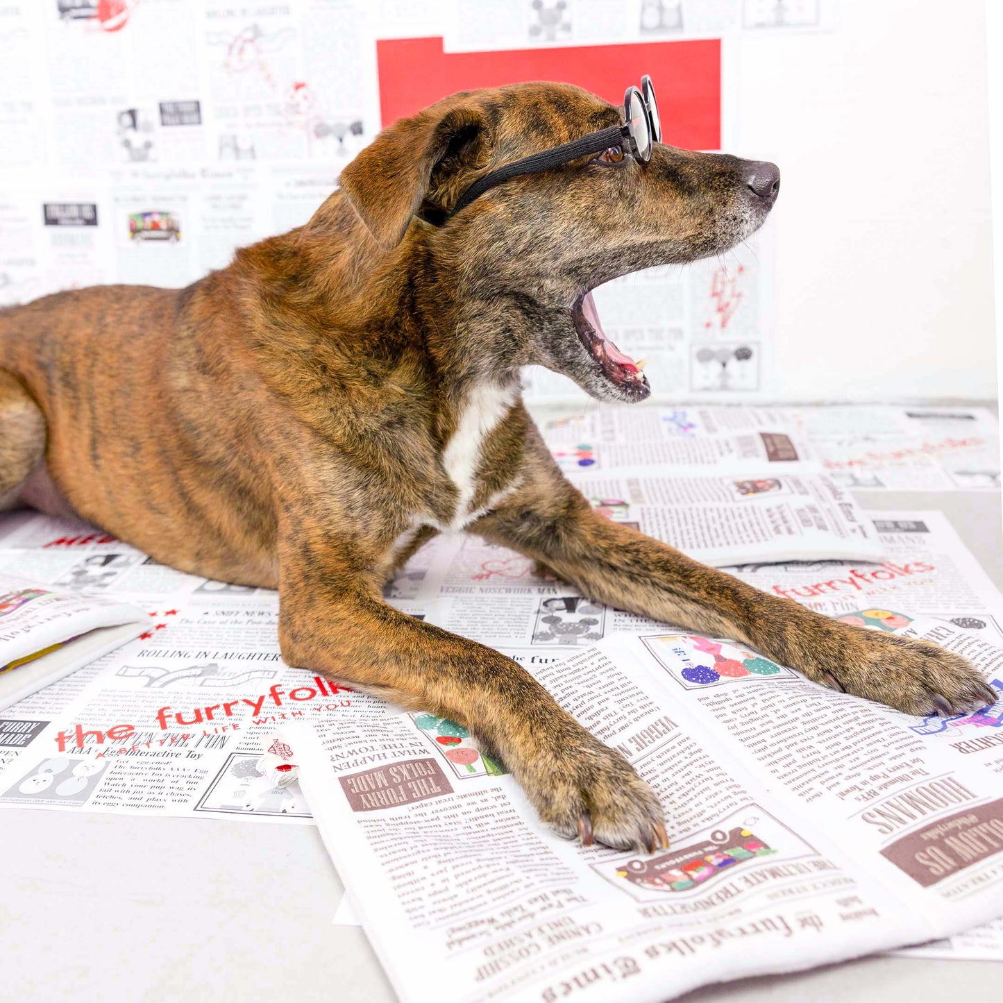 The Furryfolks Avis Nosework Legetøj – Sjov og Mental Stimulering til Din Hund!