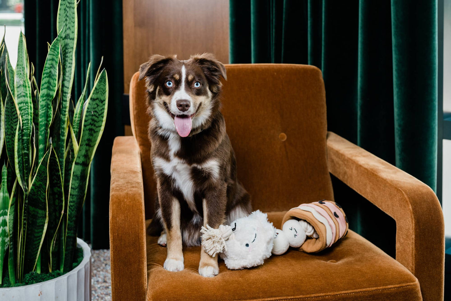 Boba Time Snuffle Legetøj – Mental Stimulering
