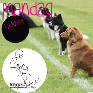 Mandags Øvet+/Lydighed Juni-Okt kl. 20.10