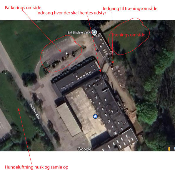 Empowerment-træning i Vejle – styrk din hunds selvtillid og trivsel.