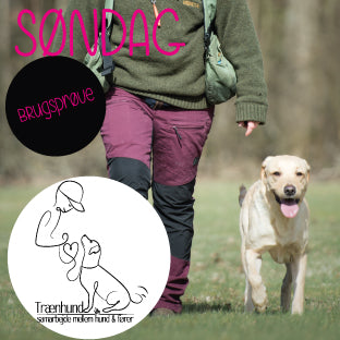 Retriever Brugsprøve træning