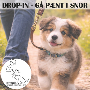 Gå pænt i løs Line - Drop-in