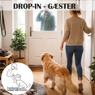 Gæster - Drop-in
