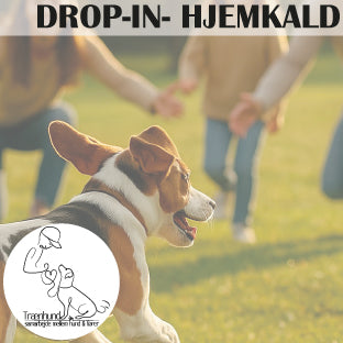 Hjemkald-Drop-in
