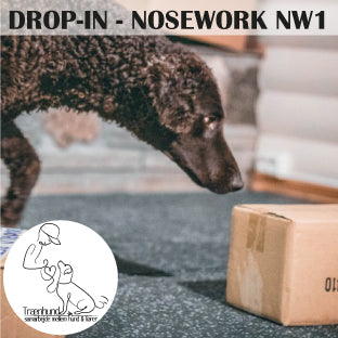 Nosework - Drop-in
