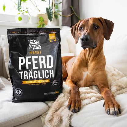 Tales & Tails - Semi Moist Hundefoder Hest