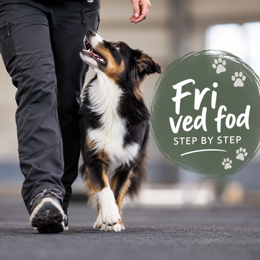 Mandag Kl. 16.45 - Fri ved Fod - 16 Nov. - 6 Jan.
