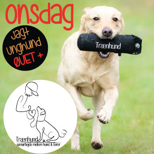 Onsdag Kl. 19.05 Jagt Unghund Øvet+ 4 Nov. - 24 Feb
