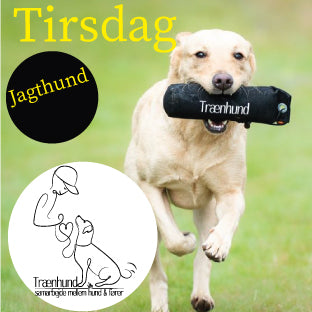 Tirsdag Kl. 20.10 - Jagthund begynder April