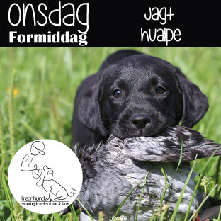 Onsdag kl. 9.30 Jagt Hvalpe