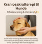 🐶 Kraniosakralterapi til Hunde – Afbalancering & Velvære