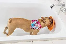 LickiMat Splash