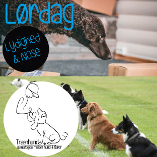 Lørdag Kl. 11.15 Lydighed & Sjov Okt-Marst