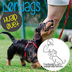 Lørdag Kl. 8.45 Hvalpe/Unghunde Øvet Aug.