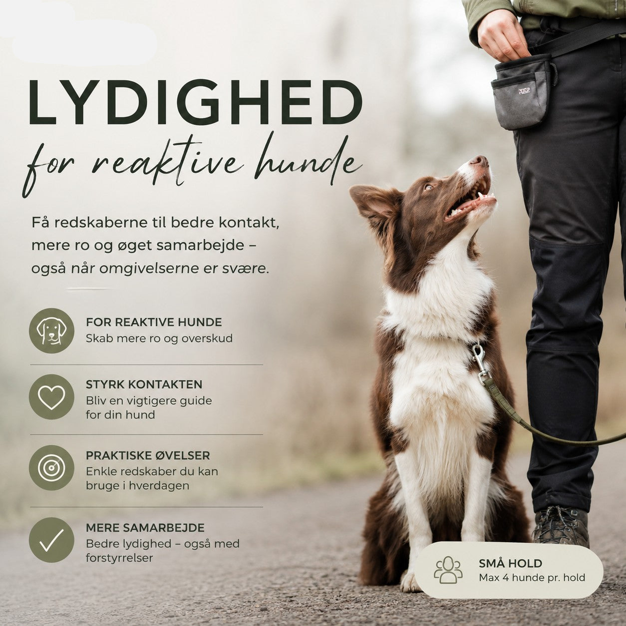 Lydighedstræning for reaktive hunde