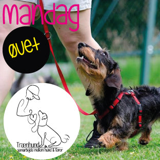 Mandag Kl.20.10 Unghunde Øvet Jan- Maj