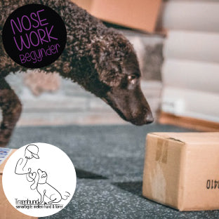 Onsdag Kl. 18.00 - Maj NW Begynder Nose work