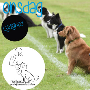 Onsdag Kl. 18.00 Lydighed Aug-Nov.