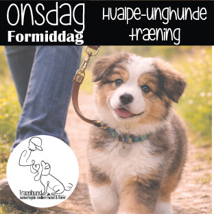 Onsdag kl. 9.00 Hvalpe Unghund -Begynder & Let øvet - 26 Aug.-21 Okt.