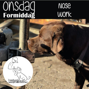 Onsdag kl. 10.45 Nose Work 2. Sep.- 21 Okt. Begynder