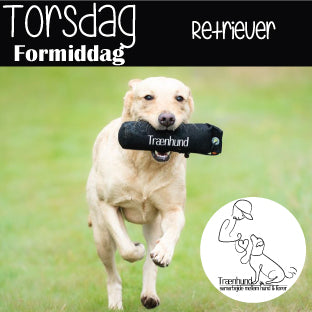Torsdag kl. 9.00 Retriever træning - Deputant-Beginner