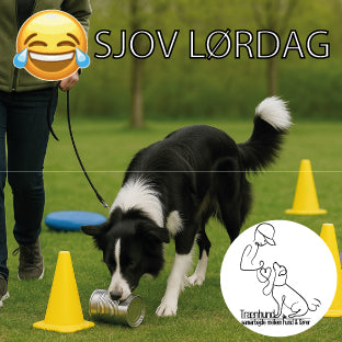 Sjov Lørdag 🎉🐾
