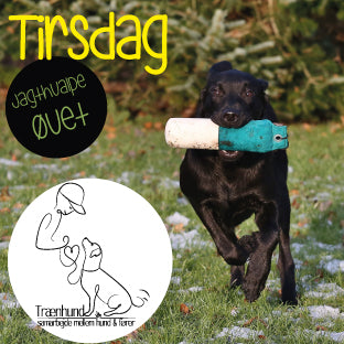 Tirsdag Kl. 18.00 -Jagthvalp Øvet Aug